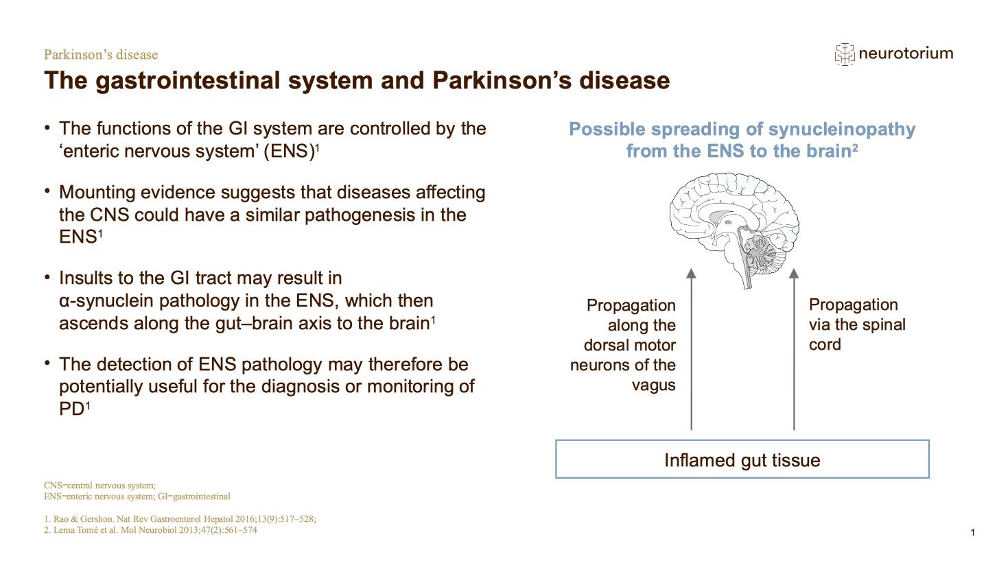 Parkinsons Disease – Neurobiology and Aetiology – slide 14